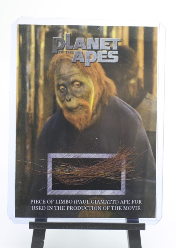 PLANET OF THE APES 2001 LIMBO FUR PIECE MOVIE PROP MINI DISPLAY WAHLBERG COA