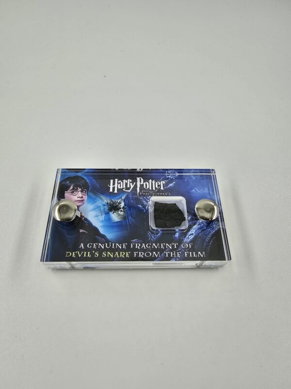 HARRY POTTER AND THE PHIOSOPHER’S STONE (2001) – DEVIL’S SNARE