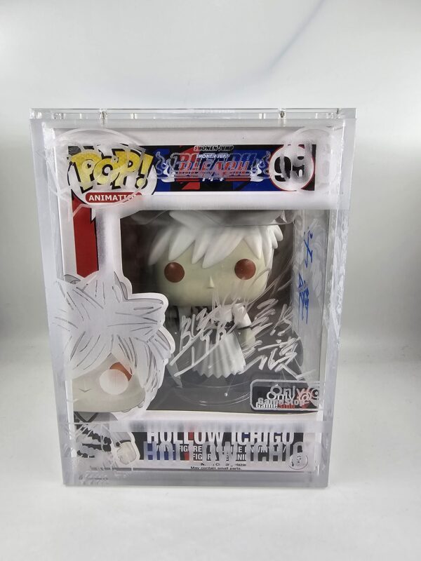 Hollow Ichigo