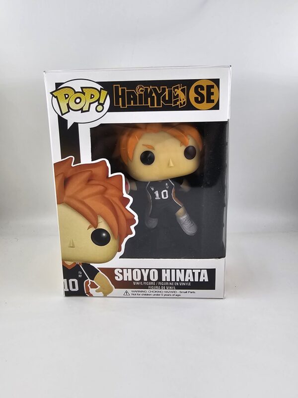 Shoyo Hinata